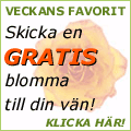 Skicka en GRATIS blomma till din v�n!